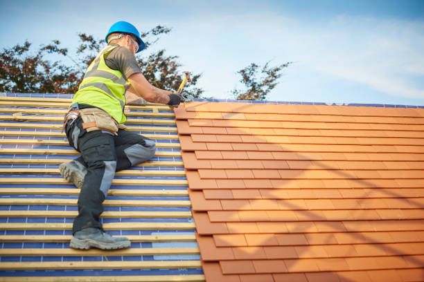 Best Steel Roofing  in Pasadena Hills, MO